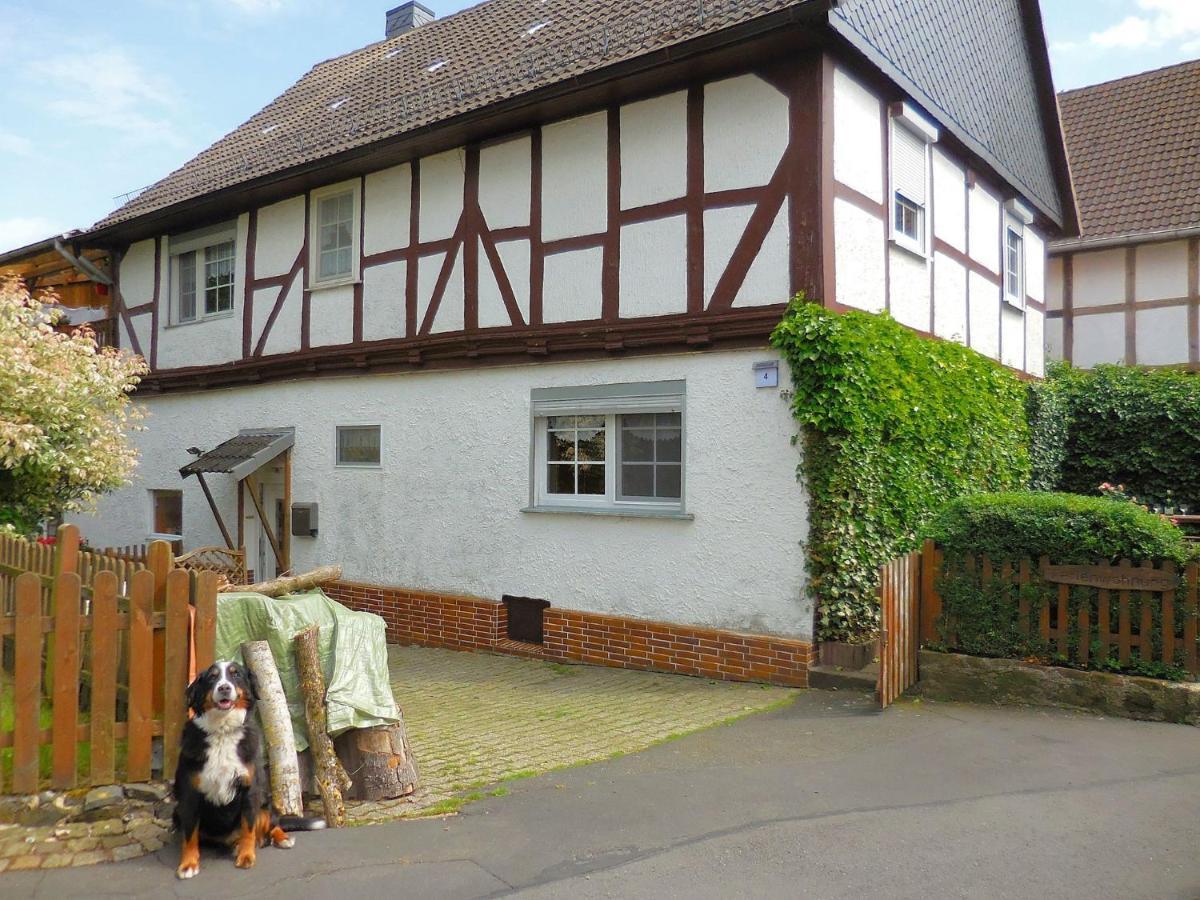 Small Apartment In Hesse With Terrace And Garden Frielendorf Eksteriør billede